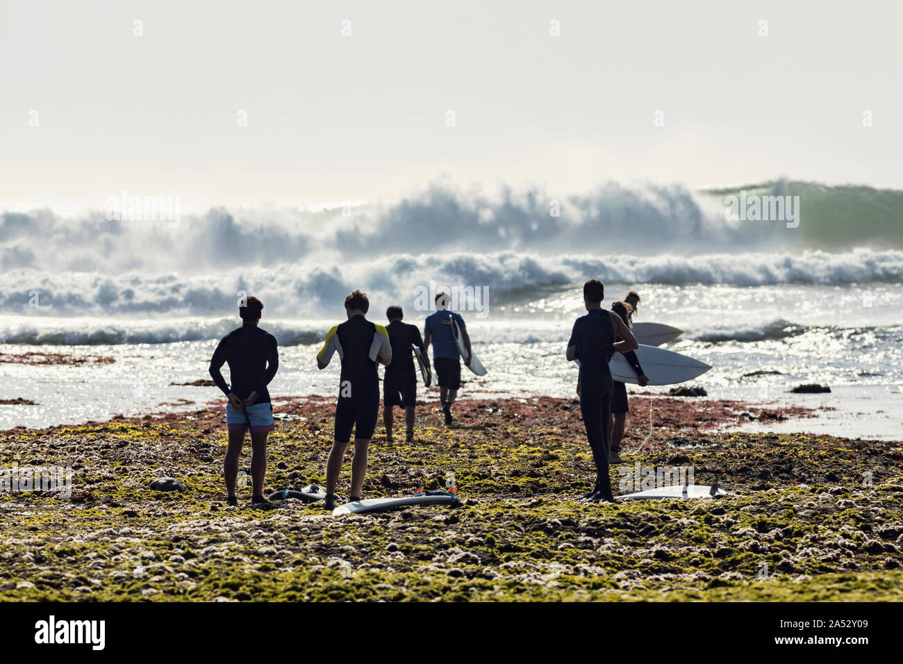 Groupe d'hommes avec la marche sur la plage de surf Banque D'Images