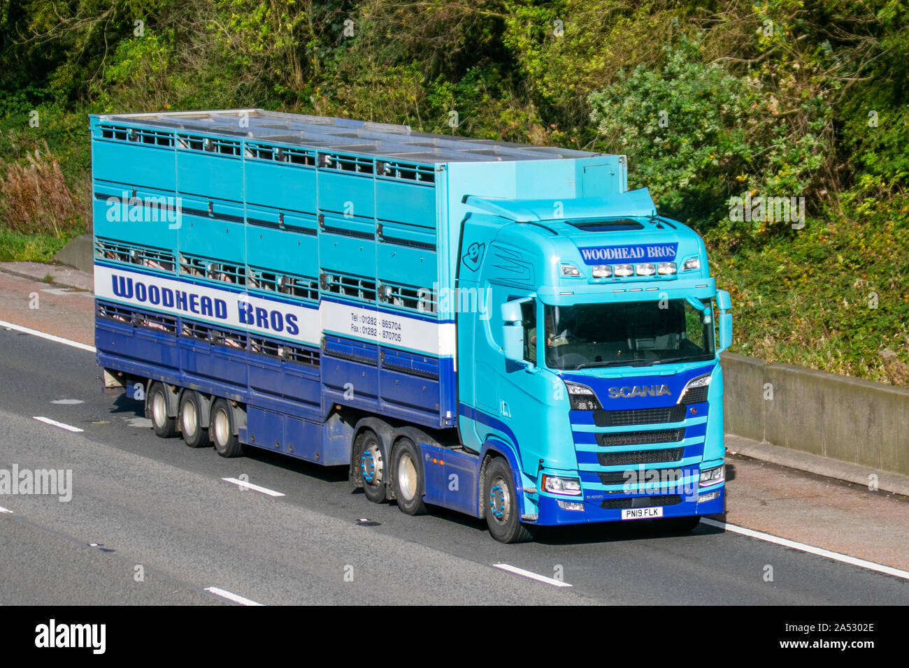 Woodhead Bros Meat Co. Industrie britannique de la viande ; camions de livraison d'animaux de transport de vrac lourd d'autoroute, transport de bétail, camion, transport, camion, cargaison spéciale, véhicule Scania, livraison, industrie du transport sur la M6 à Lancaster, Banque D'Images