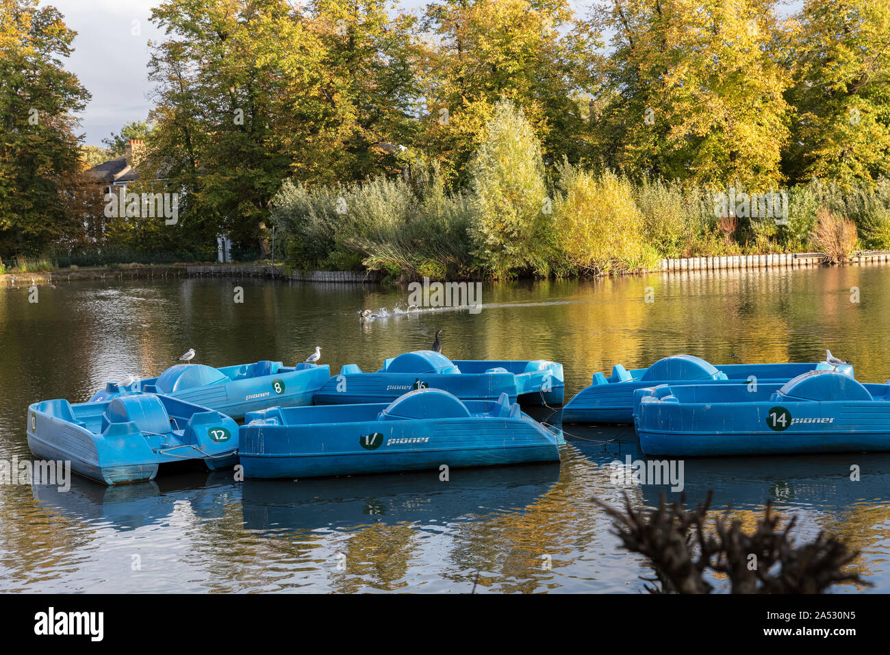 Crystal Palace Park lac de plaisance en automne Banque D'Images