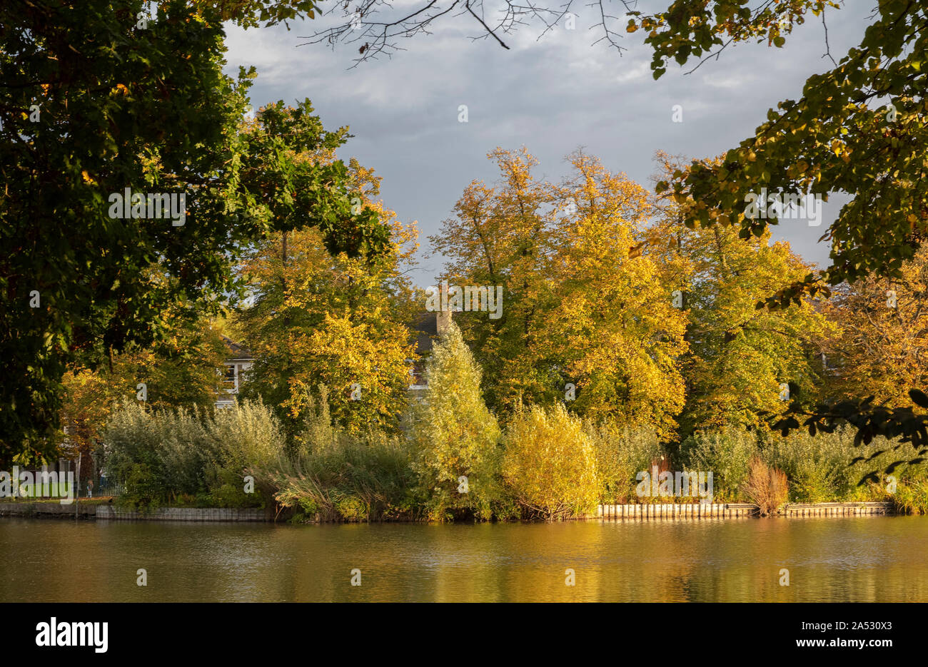 Les arbres d'automne à Crystal Palace Park dans le sud de Londres Banque D'Images