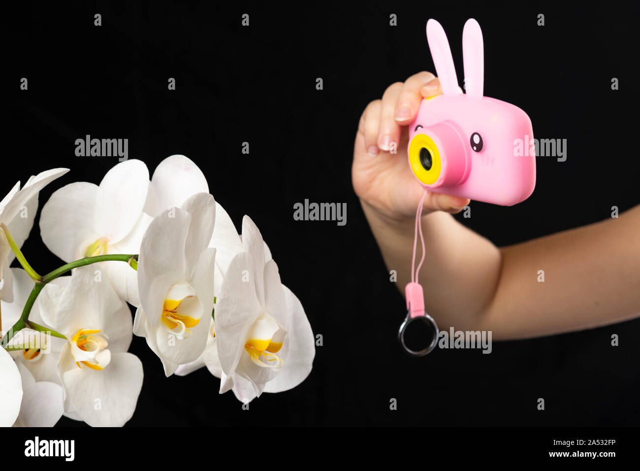 La main de l'enfant tient un appareil photo rose et des photographies une orchidée blanche fleur sur fond noir Banque D'Images