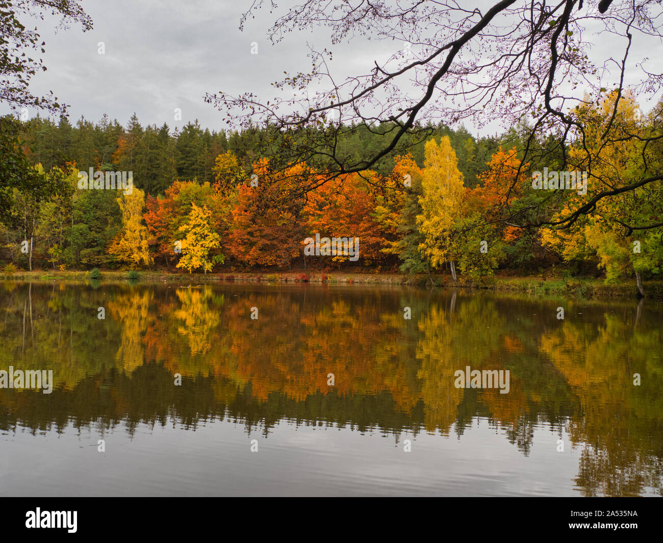 De belles feuilles aux couleurs automnales avec le lac en premier plan / vert, jaune, orange, rouge Banque D'Images