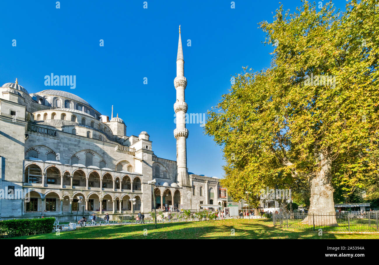 ISTANBUL Turquie la Mosquée Bleue SULTAN AHMED TÔT LE MATIN, entourée d'ARBRES À LA FIN DE L'ÉTÉ Banque D'Images