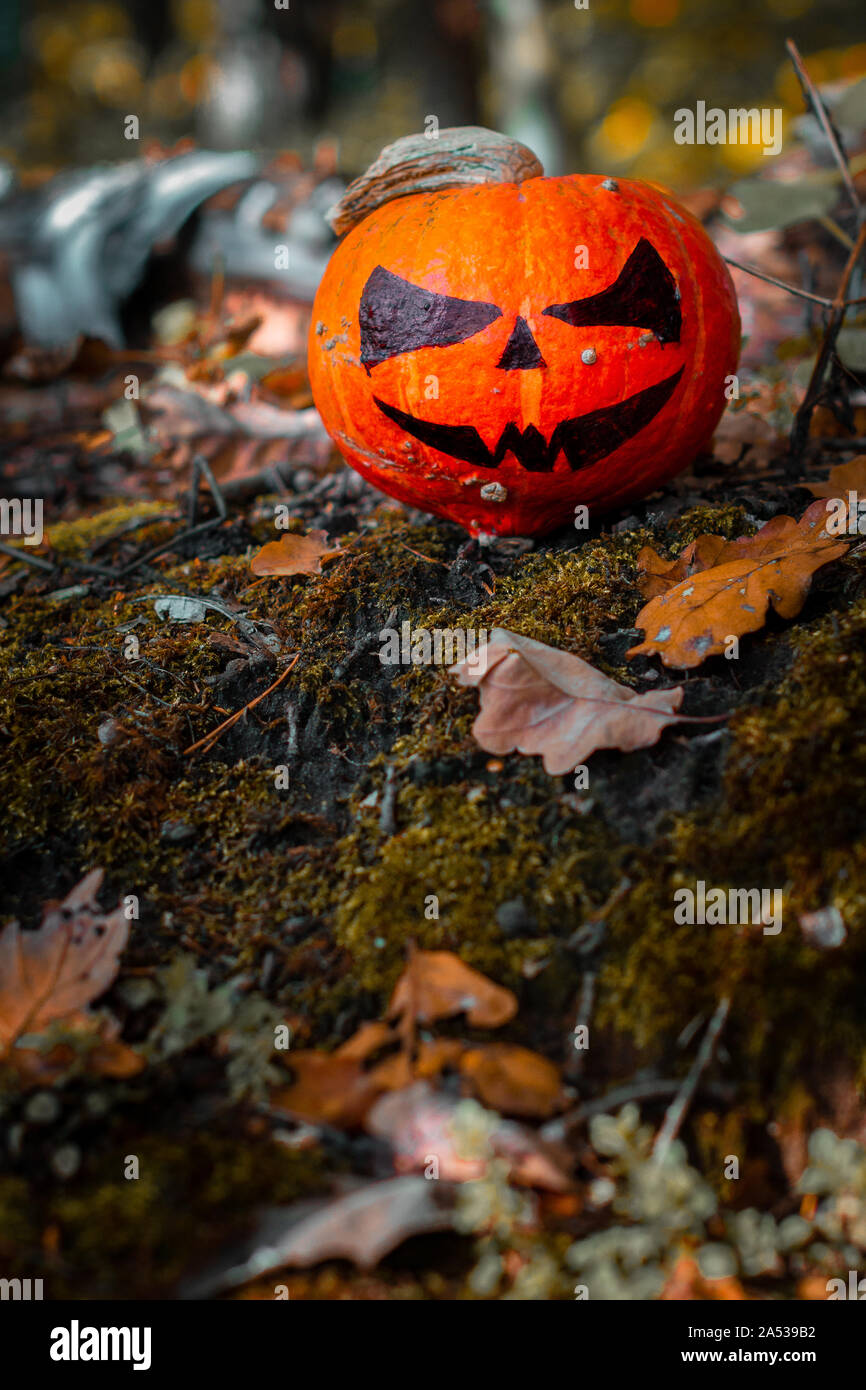 Citrouille Halloween dans la forêt. Décorations de citrouilles avec sourire à pleines dents creepy wood background Banque D'Images