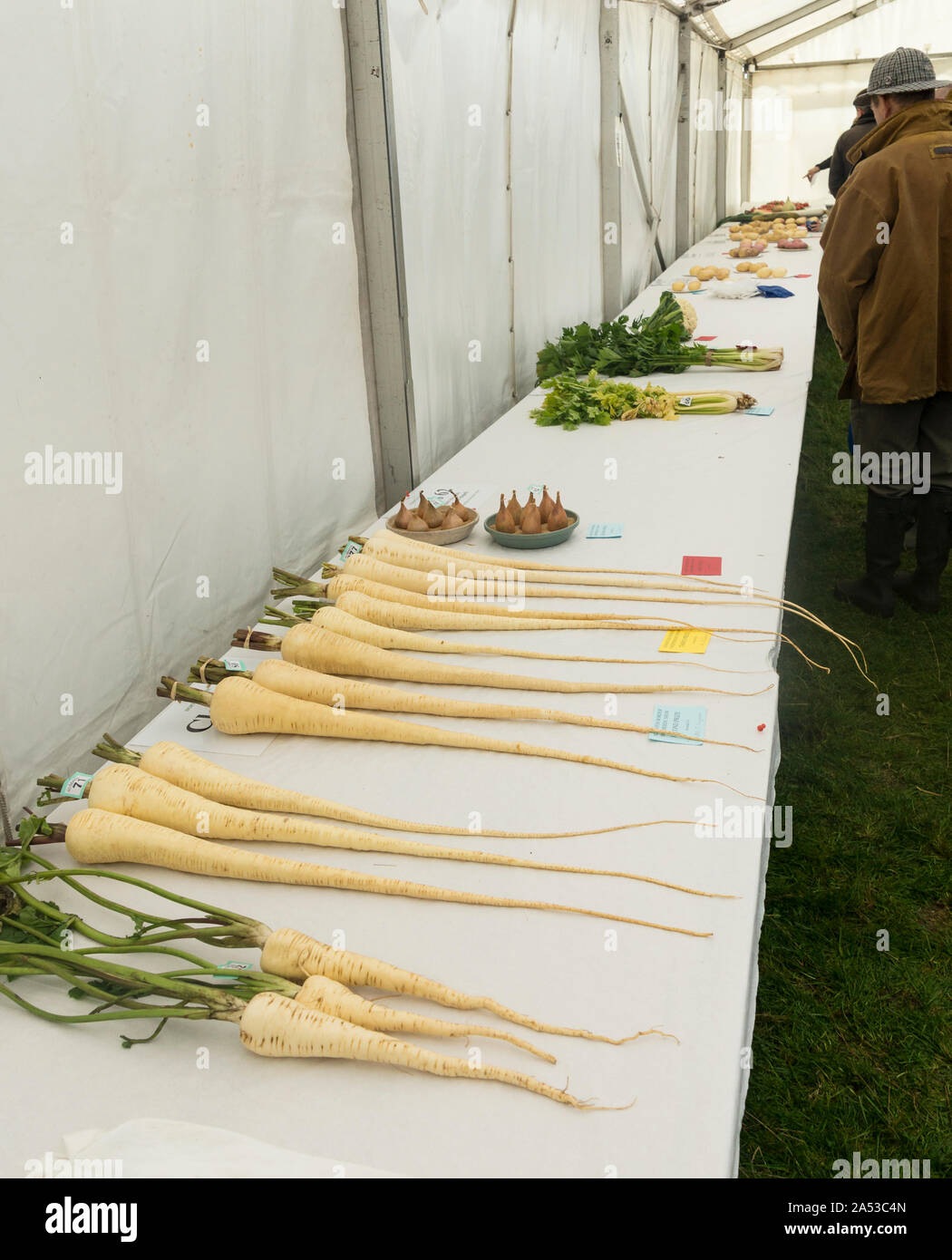 Spectacle Alwinton (Northumberland) 2019 - Gagnant du prix des légumes sur l'affichage Banque D'Images