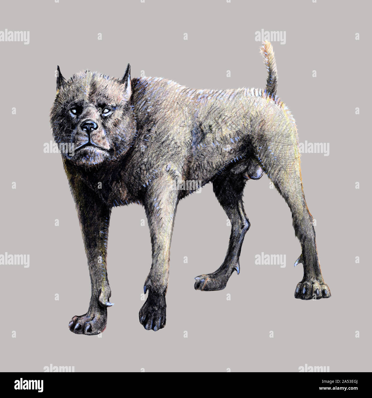 Monster dog illustration. Fantasy hound dessin. Banque D'Images