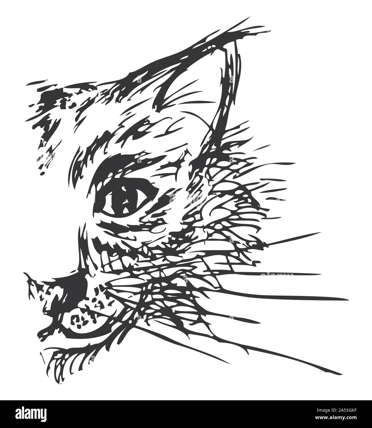 Sketch la tête d'un cat jziprian rognée par Illustration de Vecteur