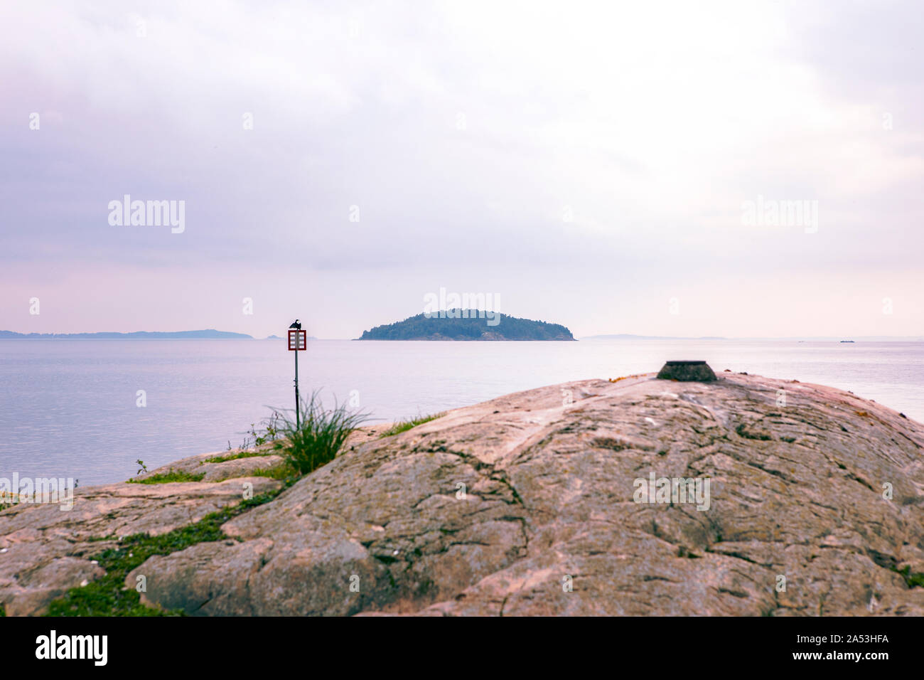Le Fjord d'Oslo, withisland paysage, eau calme, ciel couvert. Rochers sur la plage, silhouette d'un Cormorant bird. Côte norvégienne. Nesodden la Norvège. Banque D'Images