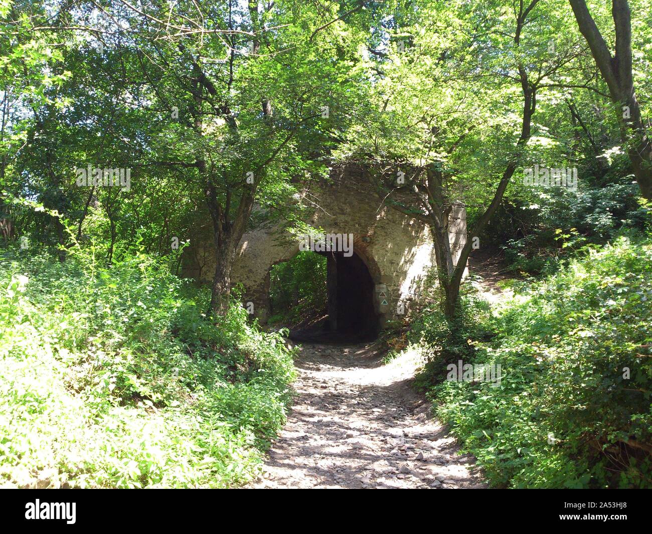 Ancienne citadelle de Deva, Roumanie Banque D'Images