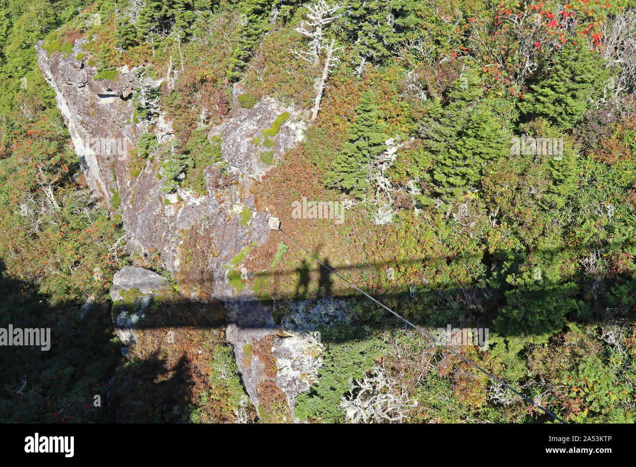Ombre de selfies Grandfather Mountain's mile high swinging bridge, North Carolina, United States Banque D'Images