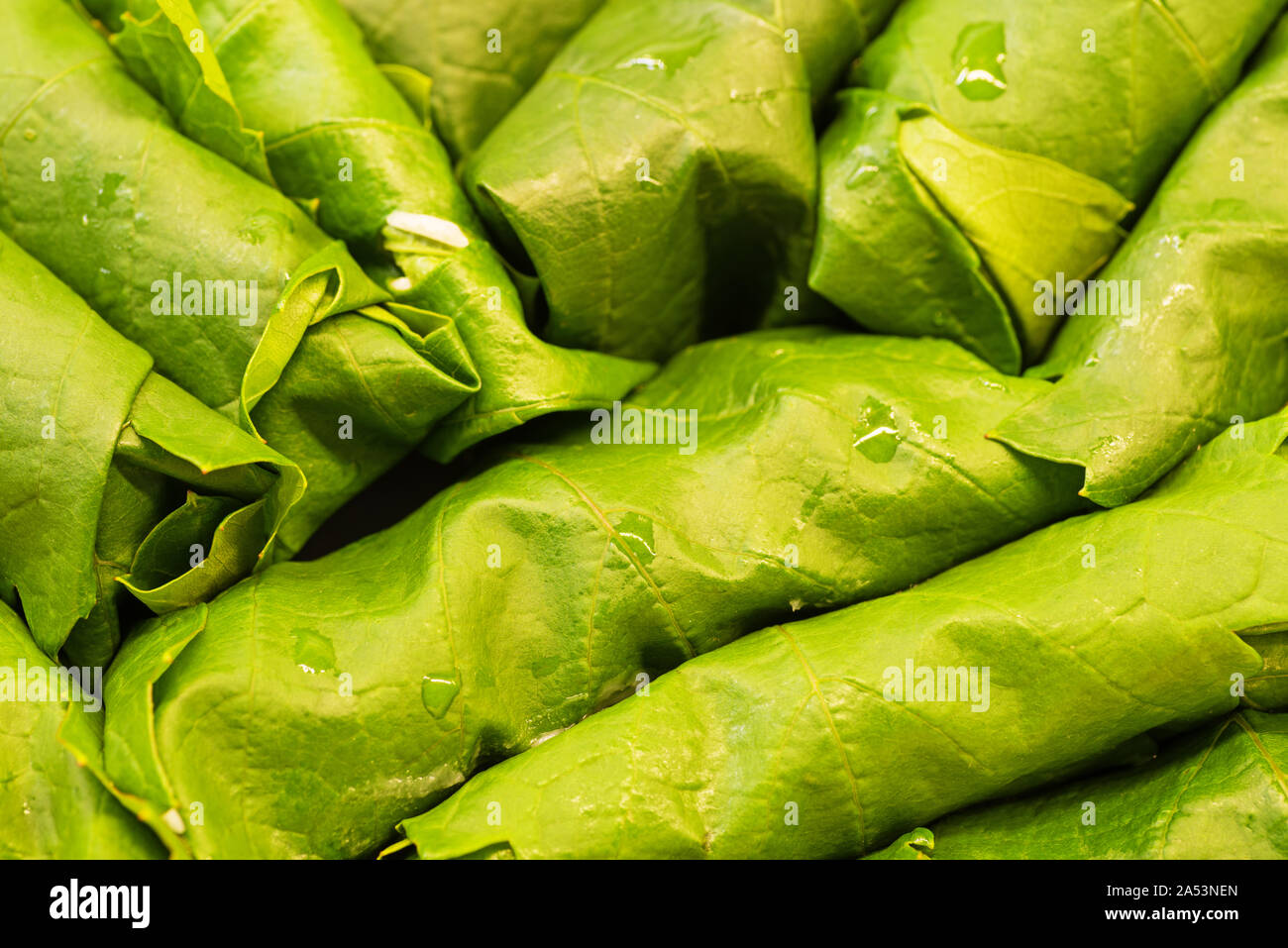 Les dolmas dans une casserole prêts à être cuisinés Banque D'Images