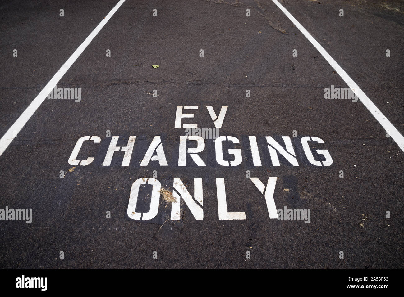 Charge EV seulement écrit en blanc sur le trottoir sombre d'un véhicule électrique de l'espace de chargement Banque D'Images