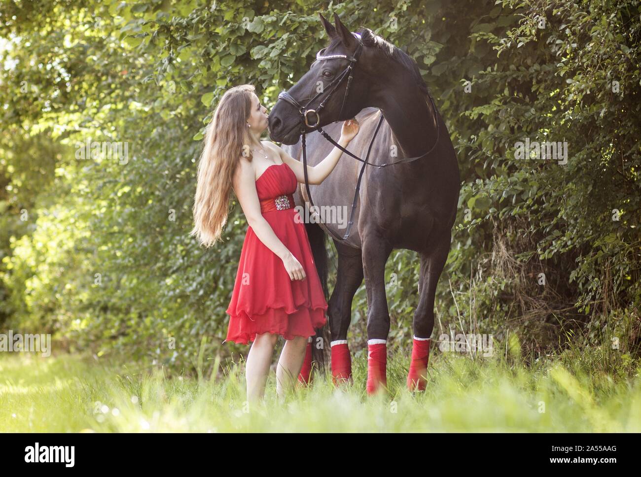 Femme baiser par un cheval Banque de photographies et d’images à haute résolution Page 3 Alamy Femme baiser par un cheval Banque de photographies et d’images à haute résolution Page 3 Alamy