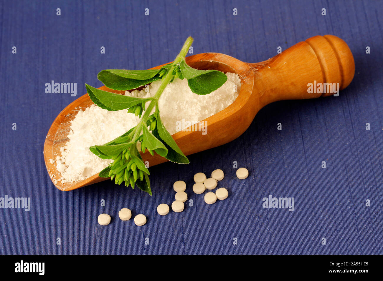 Sweet plante. Le Stevia rebaudiana. Banque D'Images