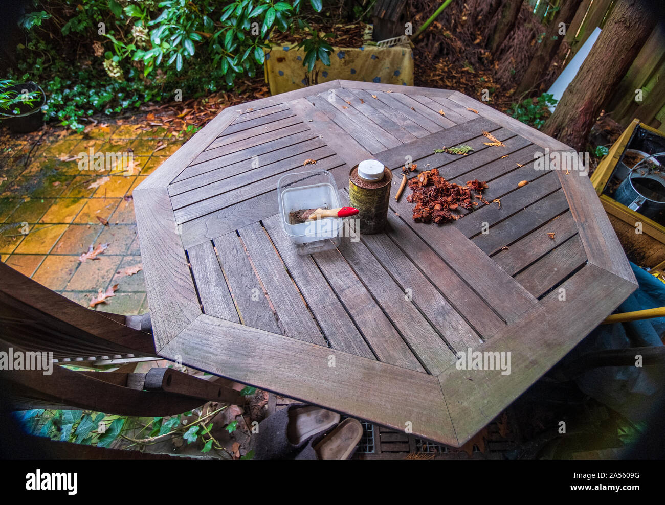 Nature morte avec une vieille peinture bruch et couleur sur une table de  jardin en teck Photo Stock - Alamy