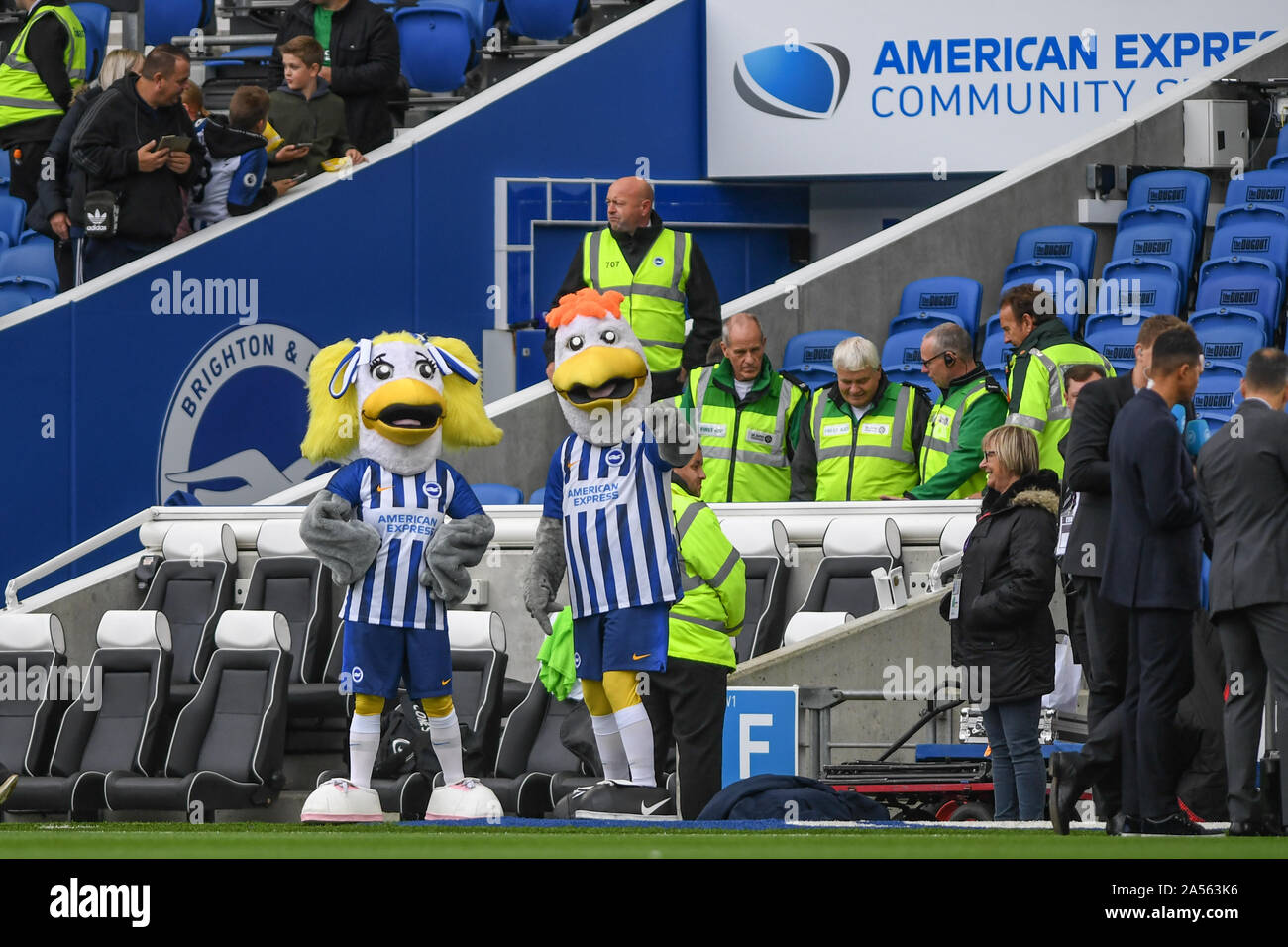 5e octobre 2019, American Express Community Stadium, Brighton et Hove, Angleterre, Premier League, Brighton et Hove Albion v Tottenham Hotspur : Brighton Mascottes avant ko Crédit : Phil Westlake/News Images Banque D'Images