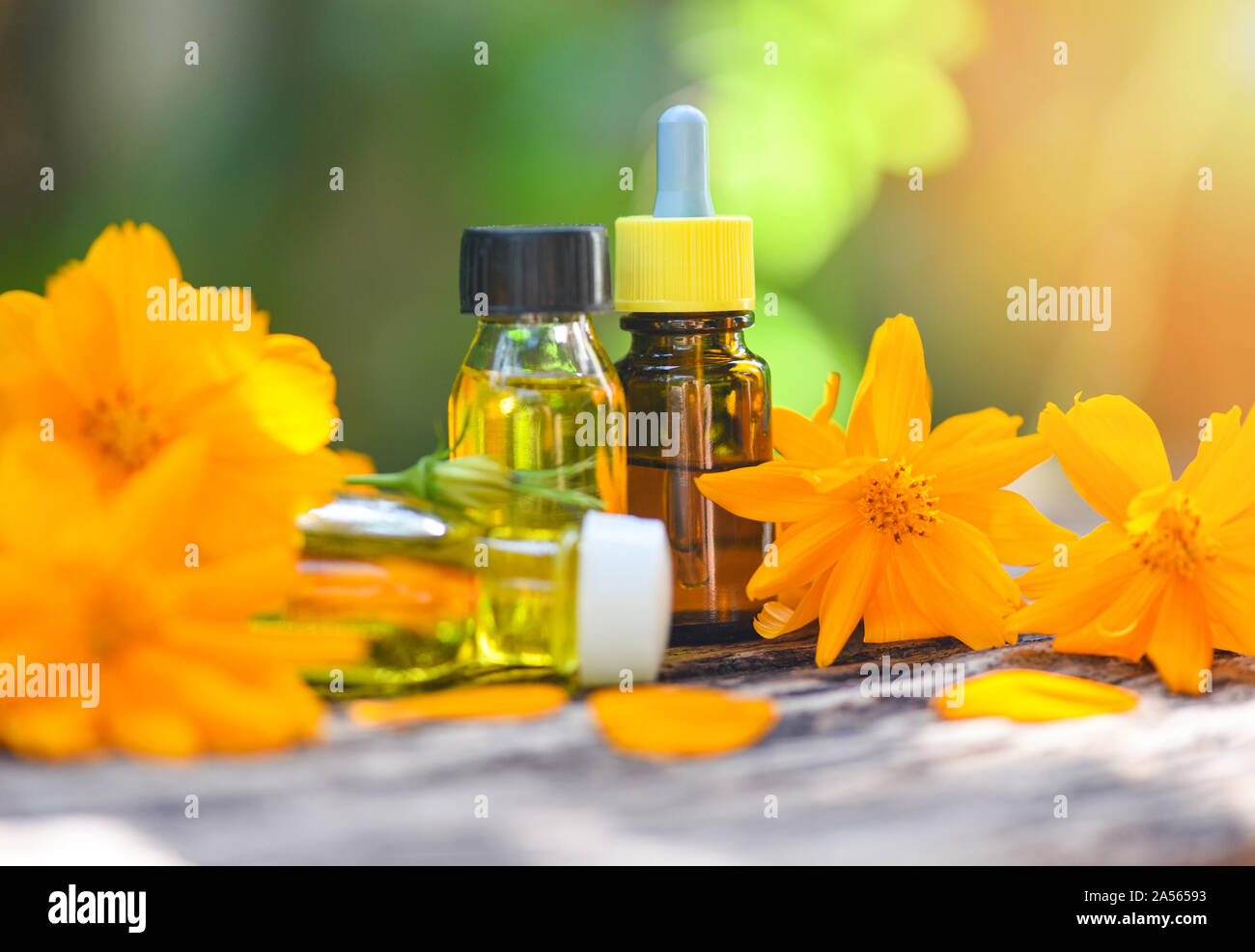 Bouteilles d'huile à base de plantes aromathérapie aroma avec fleur jaune  sur fond vert nature / huiles essentielles extraits naturels pour le visage  et le corps beauté remèdes sur bois Photo Stock -