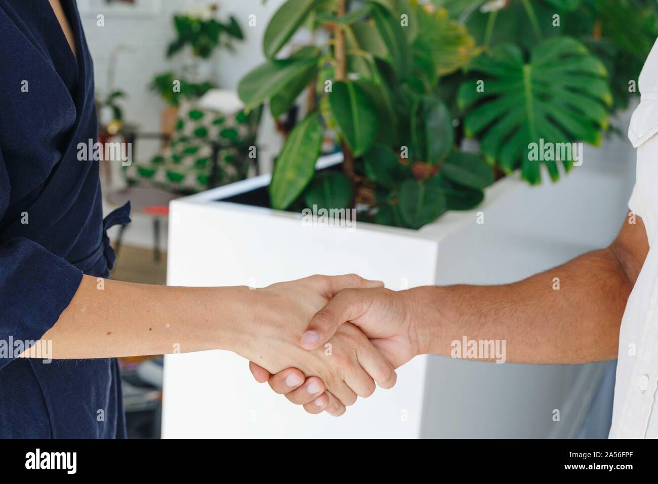 Businessman and businesswoman shaking hands in office Banque D'Images