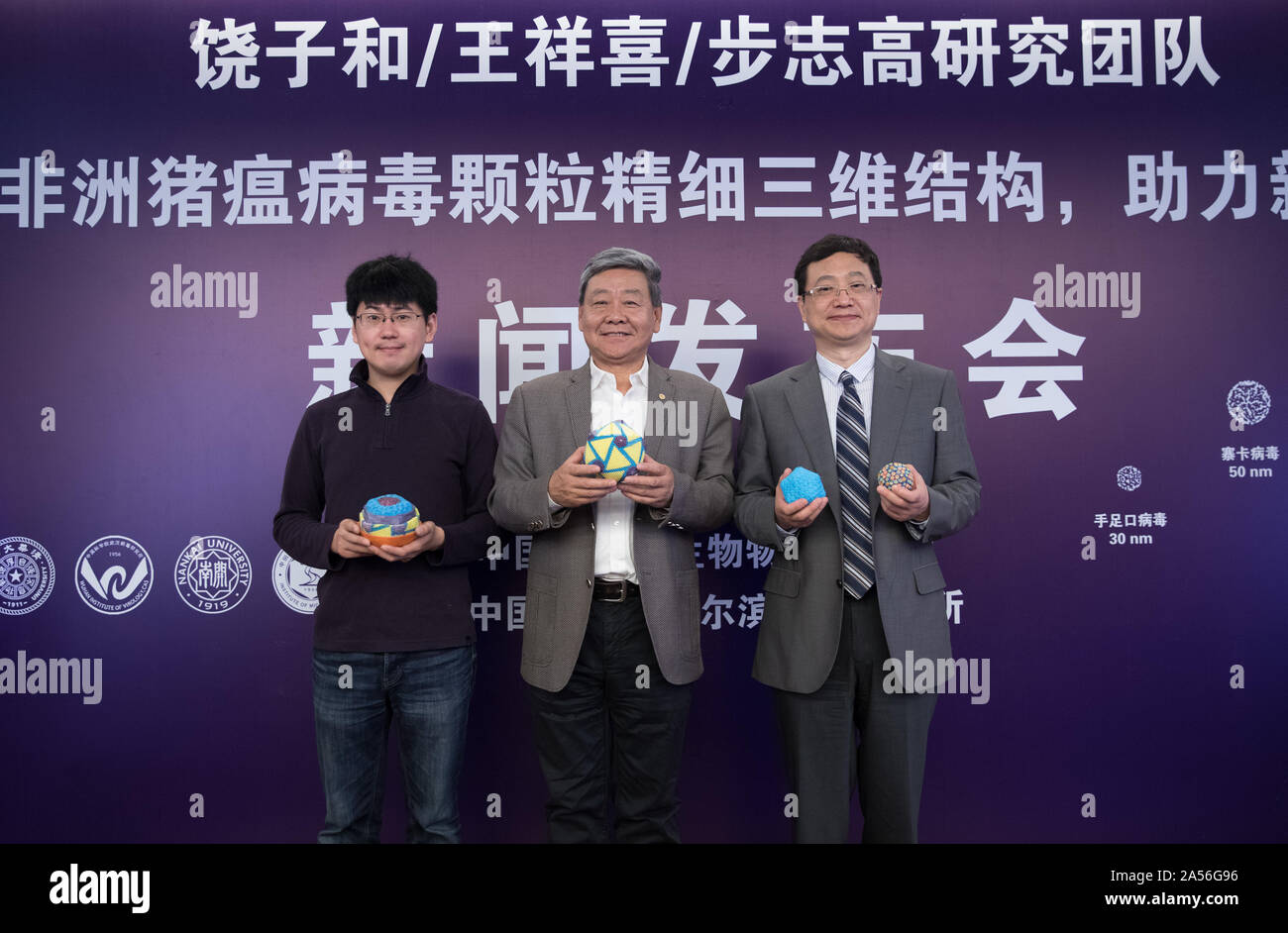 (191018) -- BEIJING, 18 oct., 2019 (Xinhua) -- Rao Zihe (C), un académicien à l'Académie Chinoise des Sciences (CAS), Wang Xiangxi (L), chercheur à l'Institut de biophysique de la CAS, et Bu Zhigao (R), directeur de l'Institut de recherche vétérinaire de Harbin de l'Académie chinoise des sciences agricoles (CAAS), prendre des photos lors d'une conférence de presse tenue par l'Institut de biophysique de l'Académie des sciences de Chine à Beijing, capitale de Chine, le 18 octobre 2019. Les scientifiques chinois ont élucidé la structure tridimensionnelle du virus de la fièvre porcine africaine, établissant une base solide pour développer des traitements efficaces et s Banque D'Images