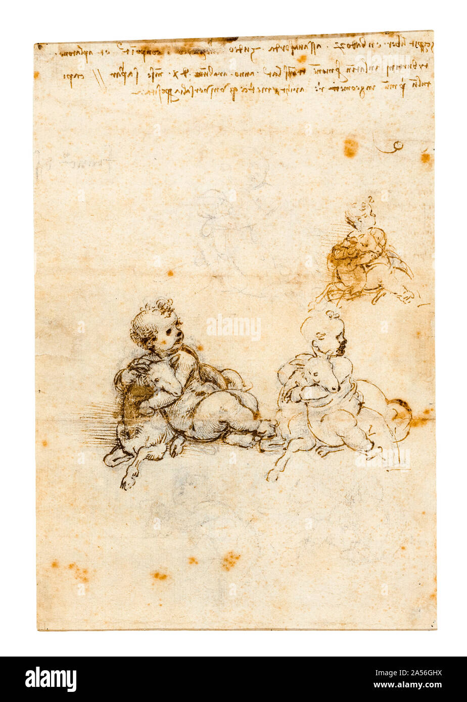 Léonard de Vinci, des études pour l'Enfant Jésus avec un agneau, dessin, 1503-1506 Banque D'Images