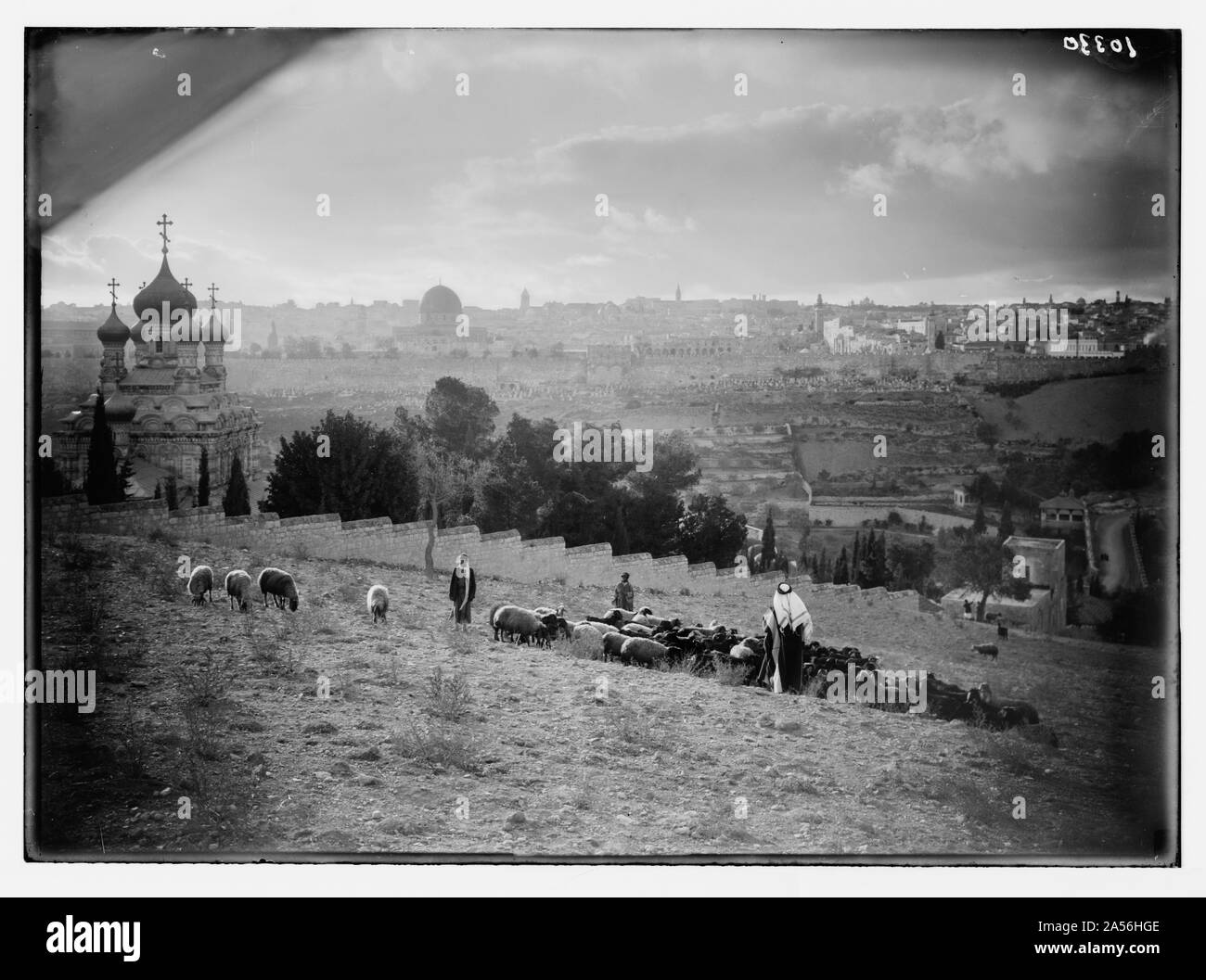 Vue sur Jérusalem et Gethsémani. Sheep & shepherd en premier plan. Banque D'Images