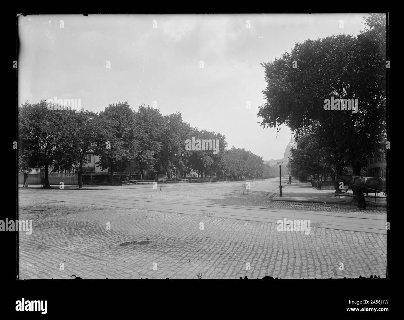 Avis de Maryland Avenue & 41/2 Rue, S.W., (aujourd'hui 4e), montrant le dispensaire pour les femmes sur la gauche et le capitole obscurci par des arbres à la fin du bloc Banque D'Images