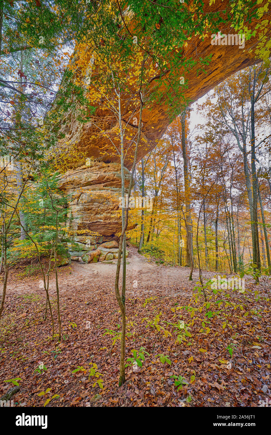 Sentier des Arches lits jumeaux, l'Arch à Big South Fork River National Recreation Area et, TN. Banque D'Images