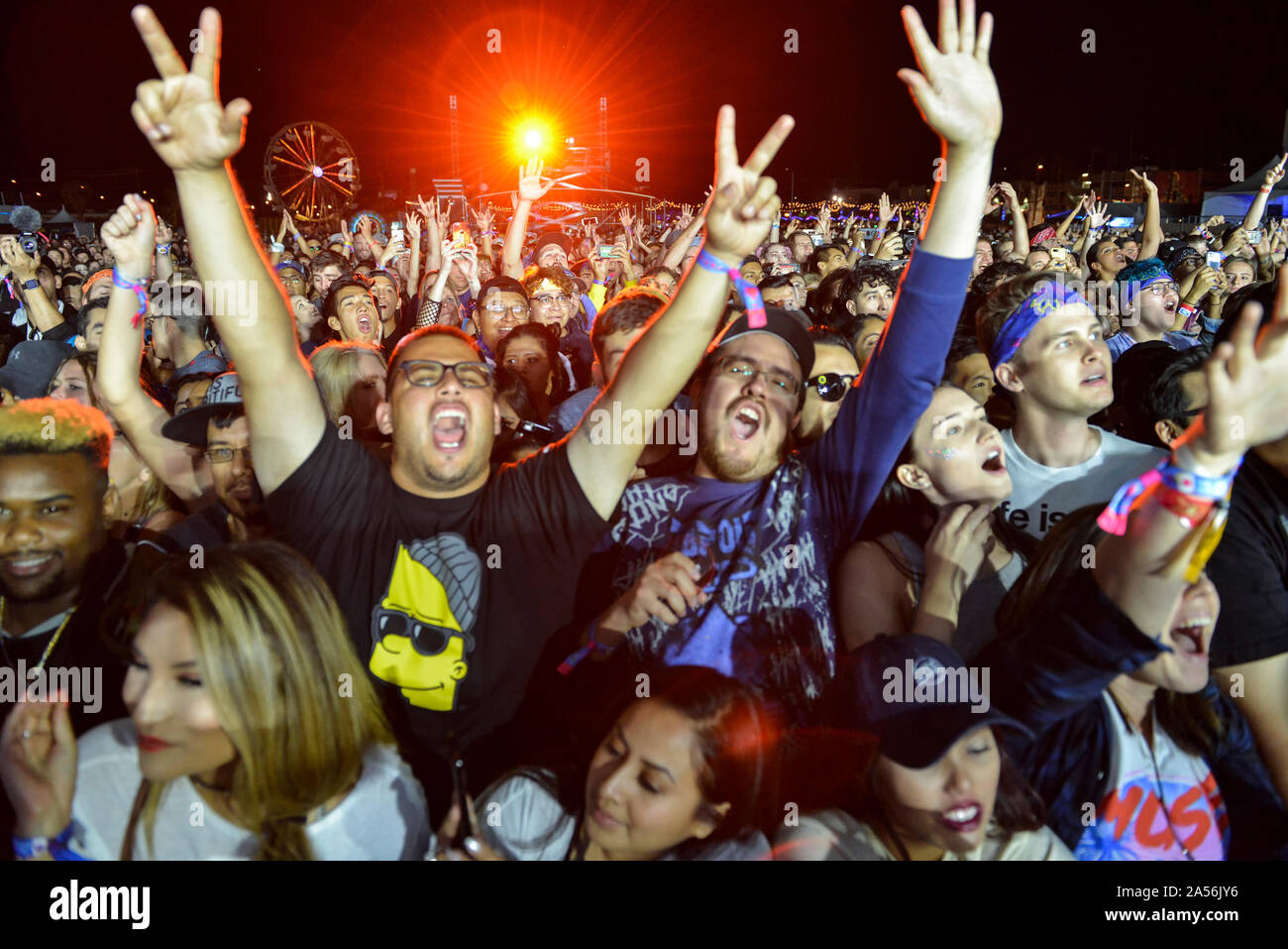 Les concerts foule Shot Banque D'Images