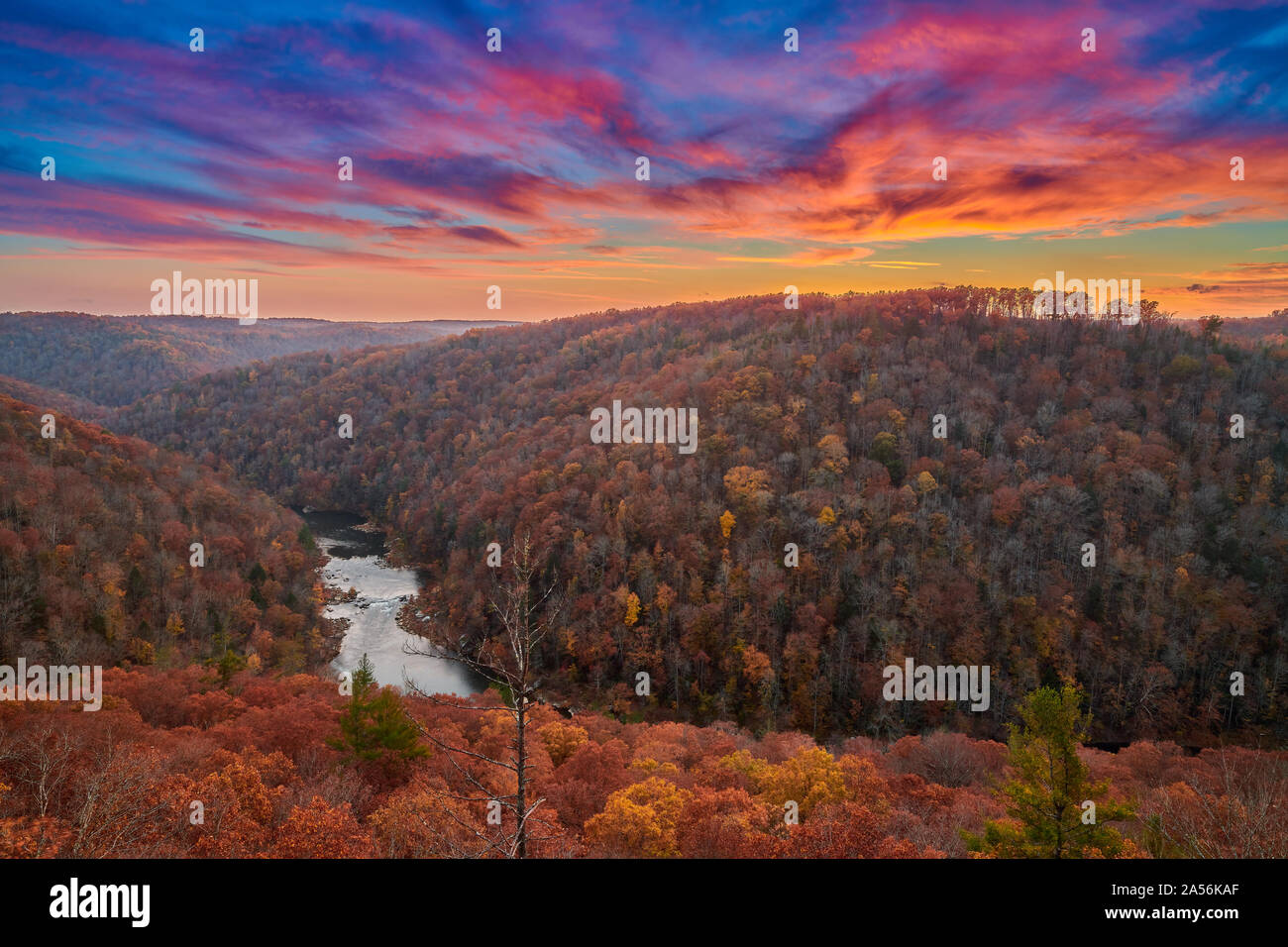 L'oublier - Big South Fork River National Recreation Area et, TN. Banque D'Images