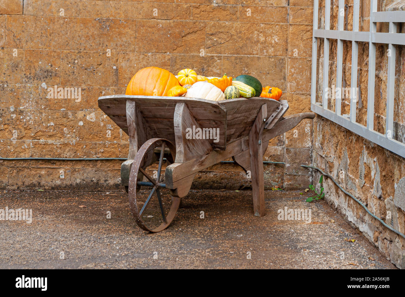 Brouette en bois contenant de la récolte des citrouilles et courges à l'automne. Banque D'Images Brouette en bois contenant de la récolte des citrouilles et courges à l'automne. Banque D'Images