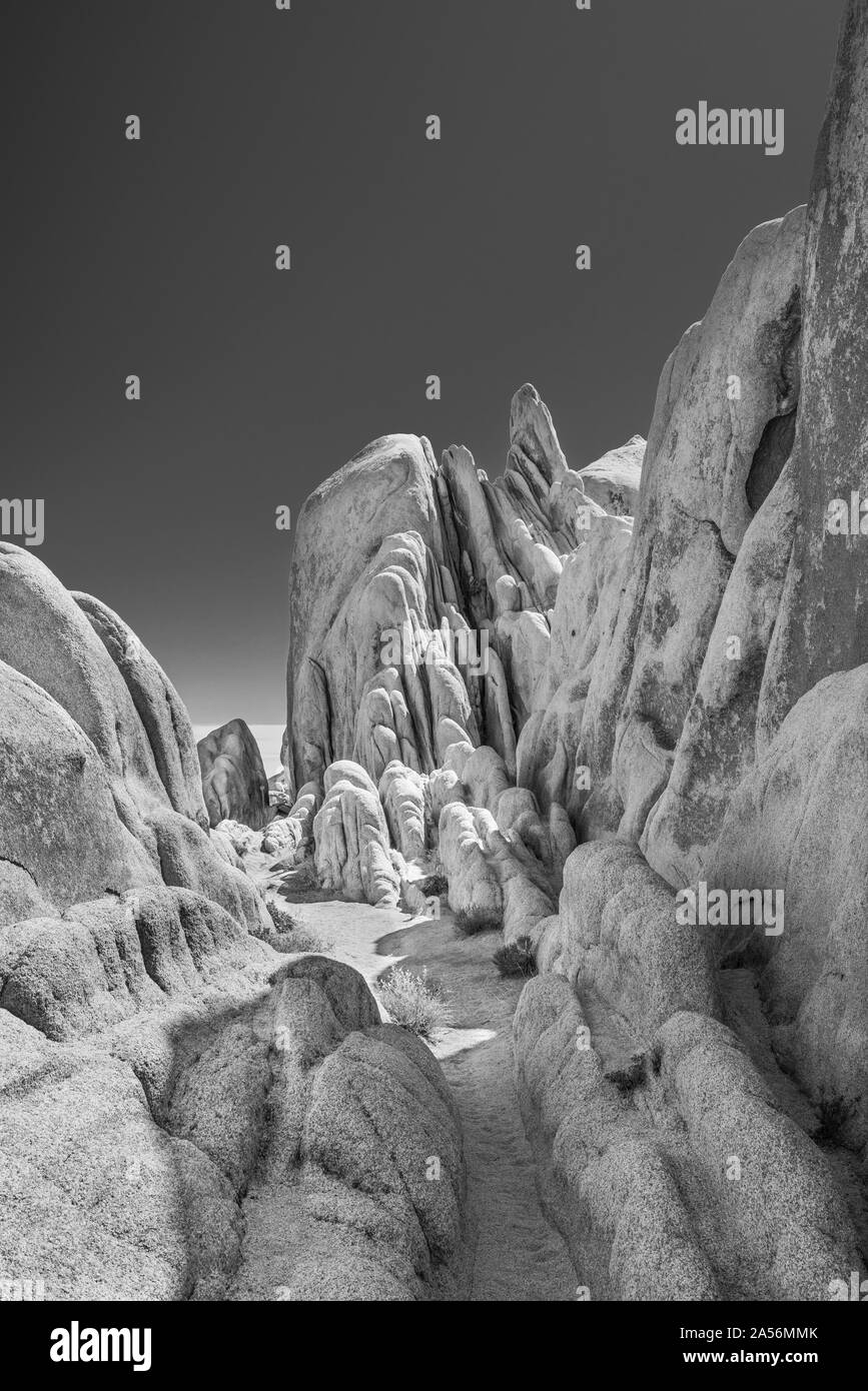 Réservoir blanc Formation Monzogranite, Joshua Tree National Park. Banque D'Images