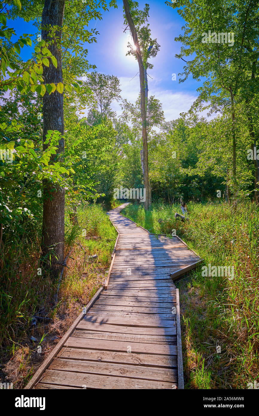 Promenade à Pershing State Park, MO. Banque D'Images