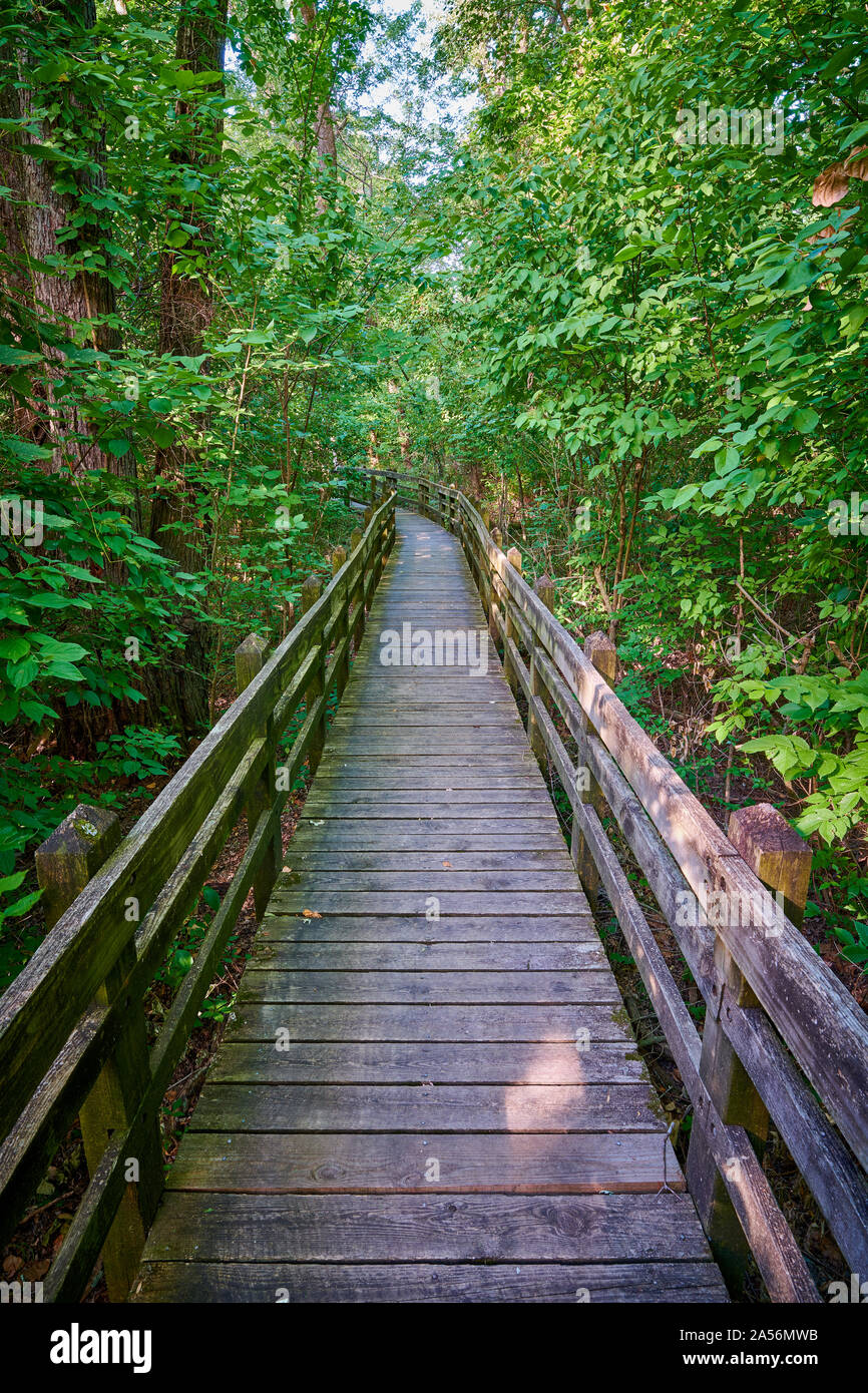 Promenade à Pershing State Park, MO. Banque D'Images