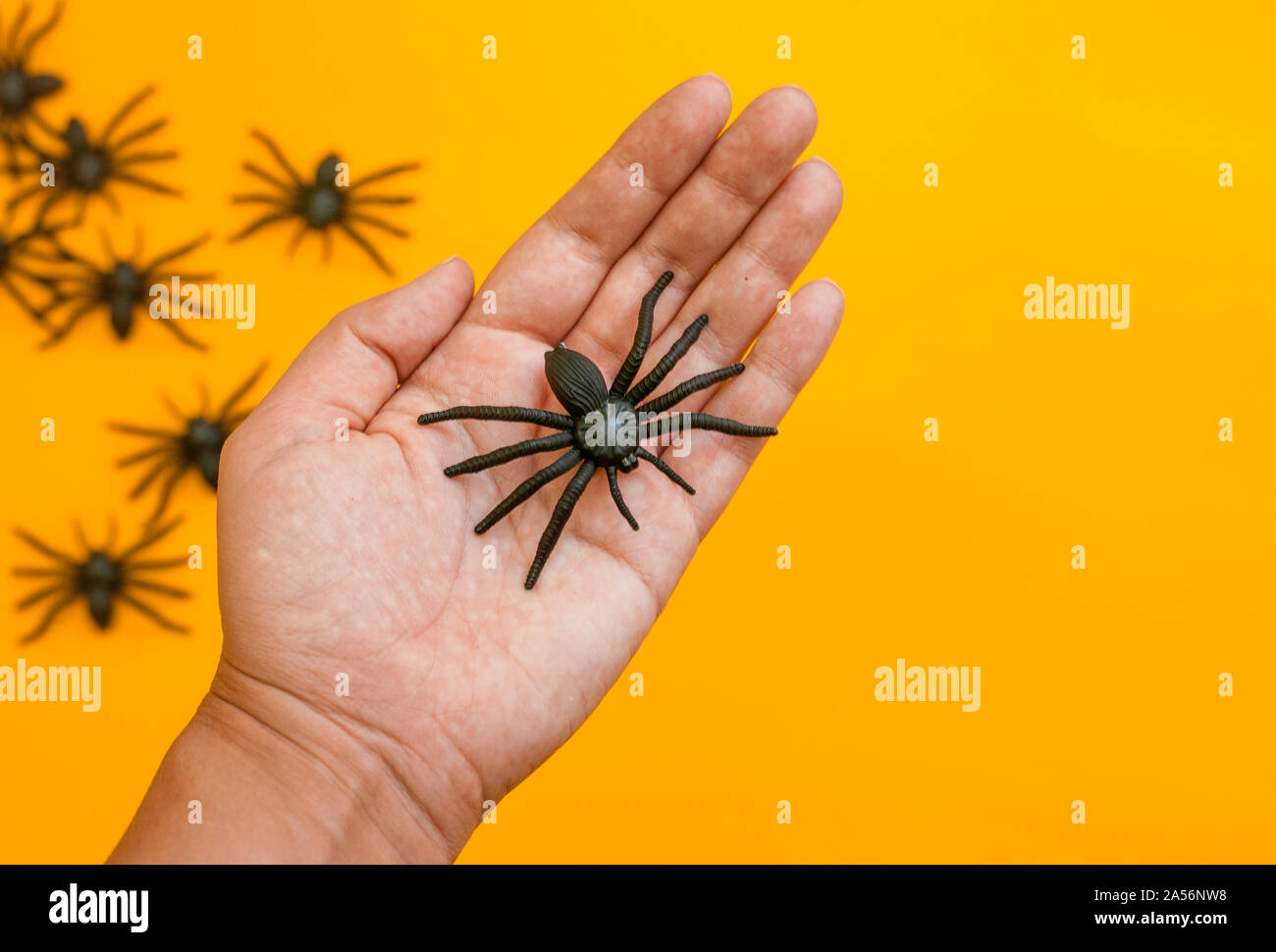 Maison de vacances Halloween automne photo de décoration main black spiders contre orange. Copier l'espace, vue d'en haut. Concept de tombola. Banque D'Images