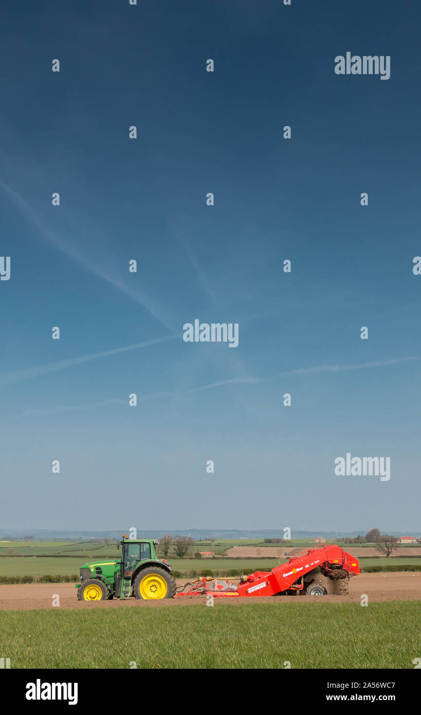 De-lapidation un champ en préparation pour semer une culture de pommes de terre Banque D'Images