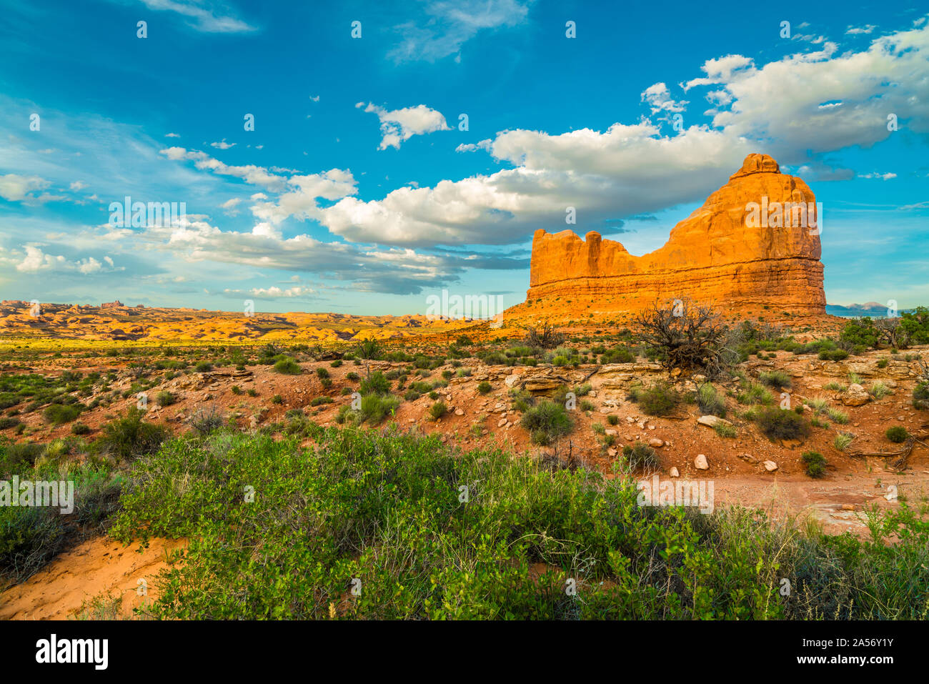 Monument avec Dunes pétrifiées, Arches National Park, UT. Banque D'Images