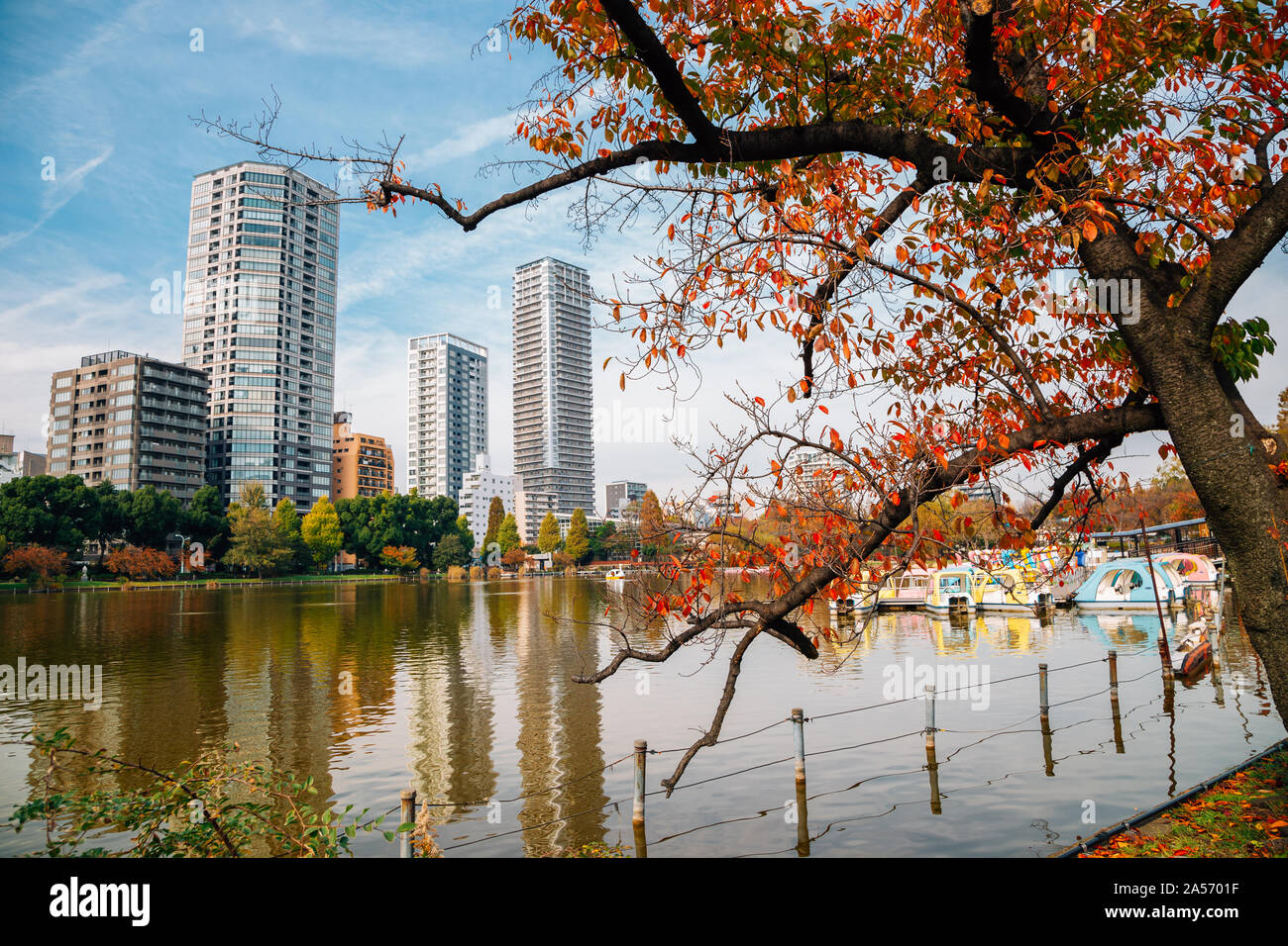 Le parc Ueno Shinobazu pond et bâtiments modernes à l'automne à Tokyo, Japon Banque D'Images