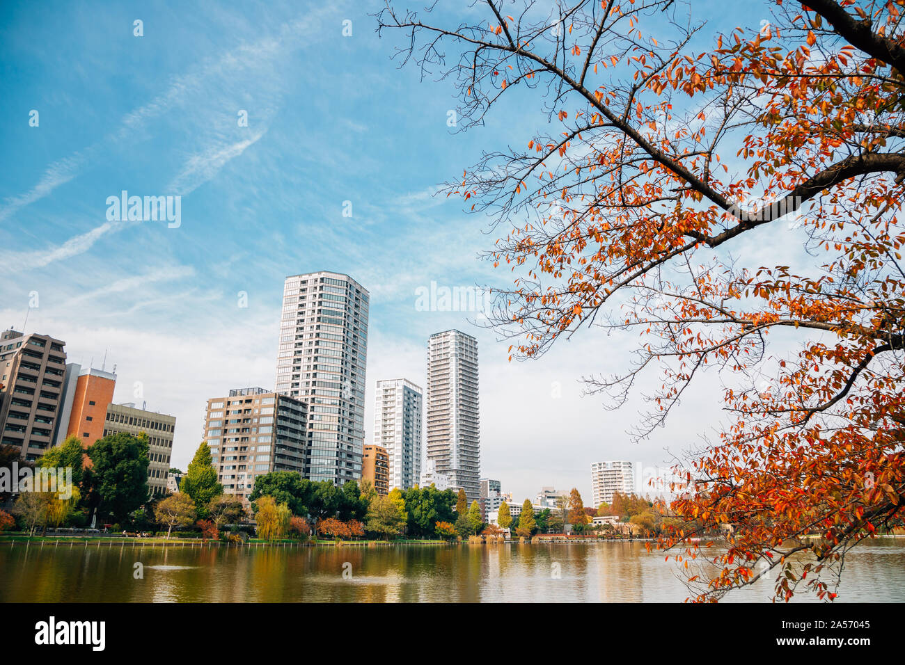 Le parc Ueno Shinobazu pond et bâtiments modernes à l'automne à Tokyo, Japon Banque D'Images