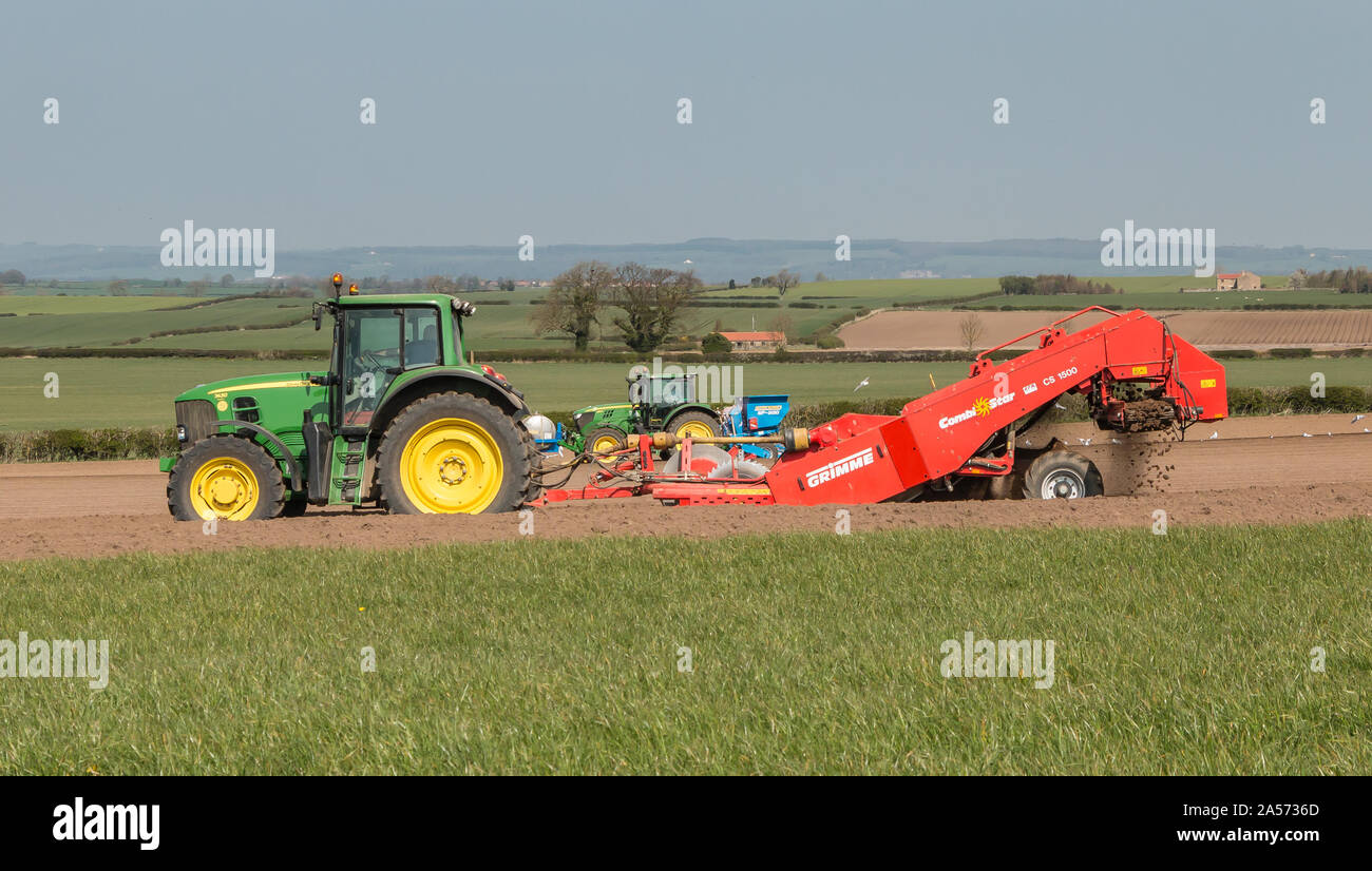 Sol de-lapidation et la préparation du lit de semence en premier plan avec la plantation de pommes de terre au soleil du printemps brumeux derrière Banque D'Images