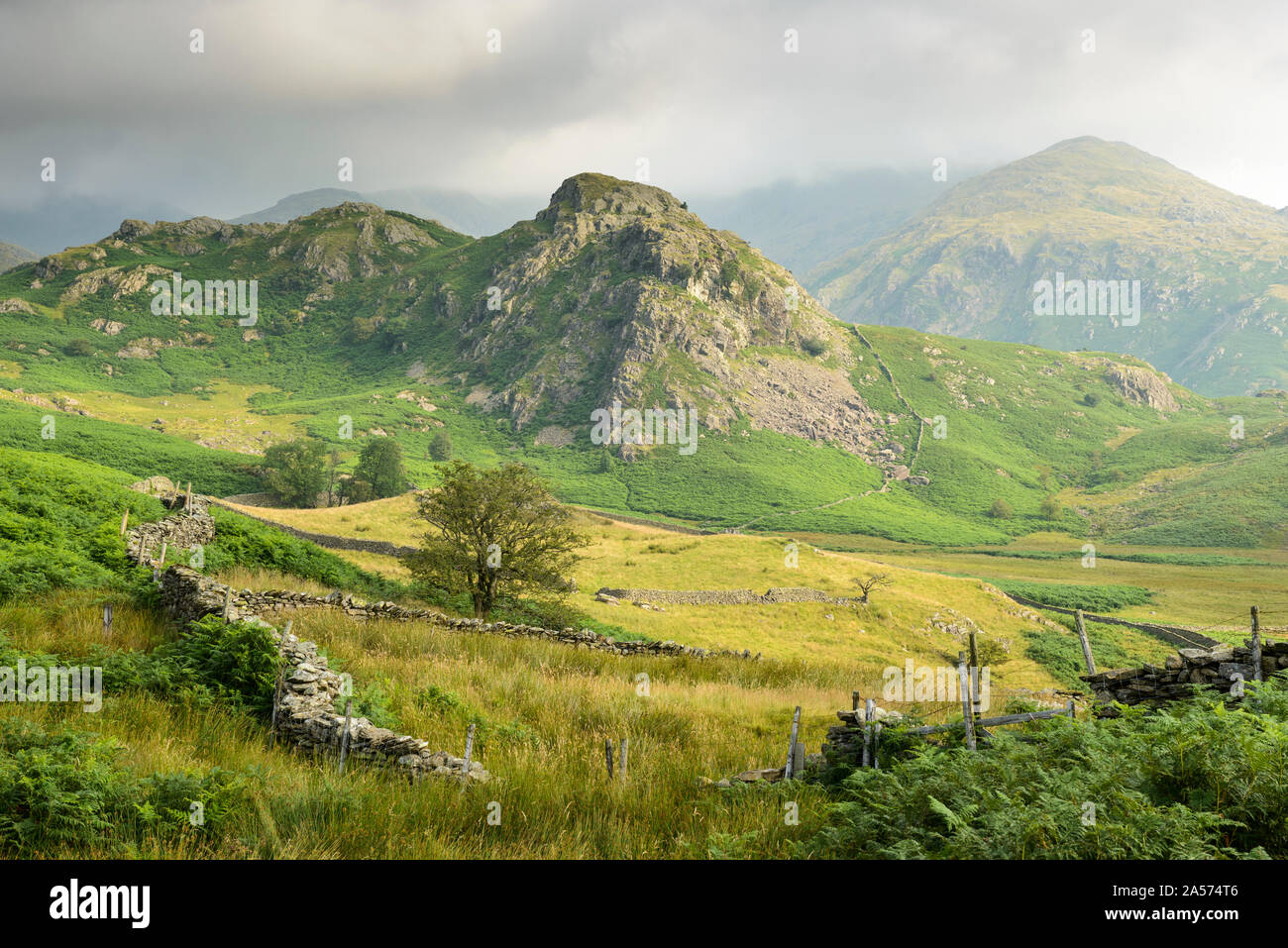 La Cloche, entouré par les collines de Coniston, sur l'apparence d'un matin d'été dans le Lake District. Banque D'Images