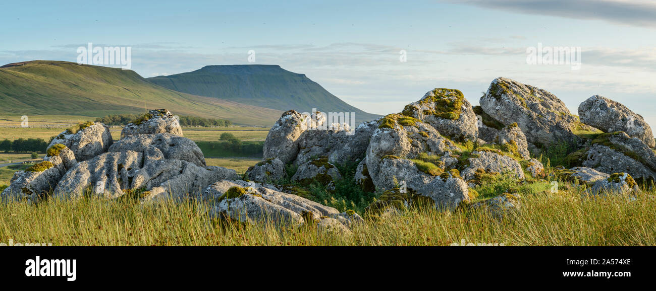 Ingleborough, l'un des 'trois pics du Yorkshire', vu de la vallée Ribblehead. Banque D'Images