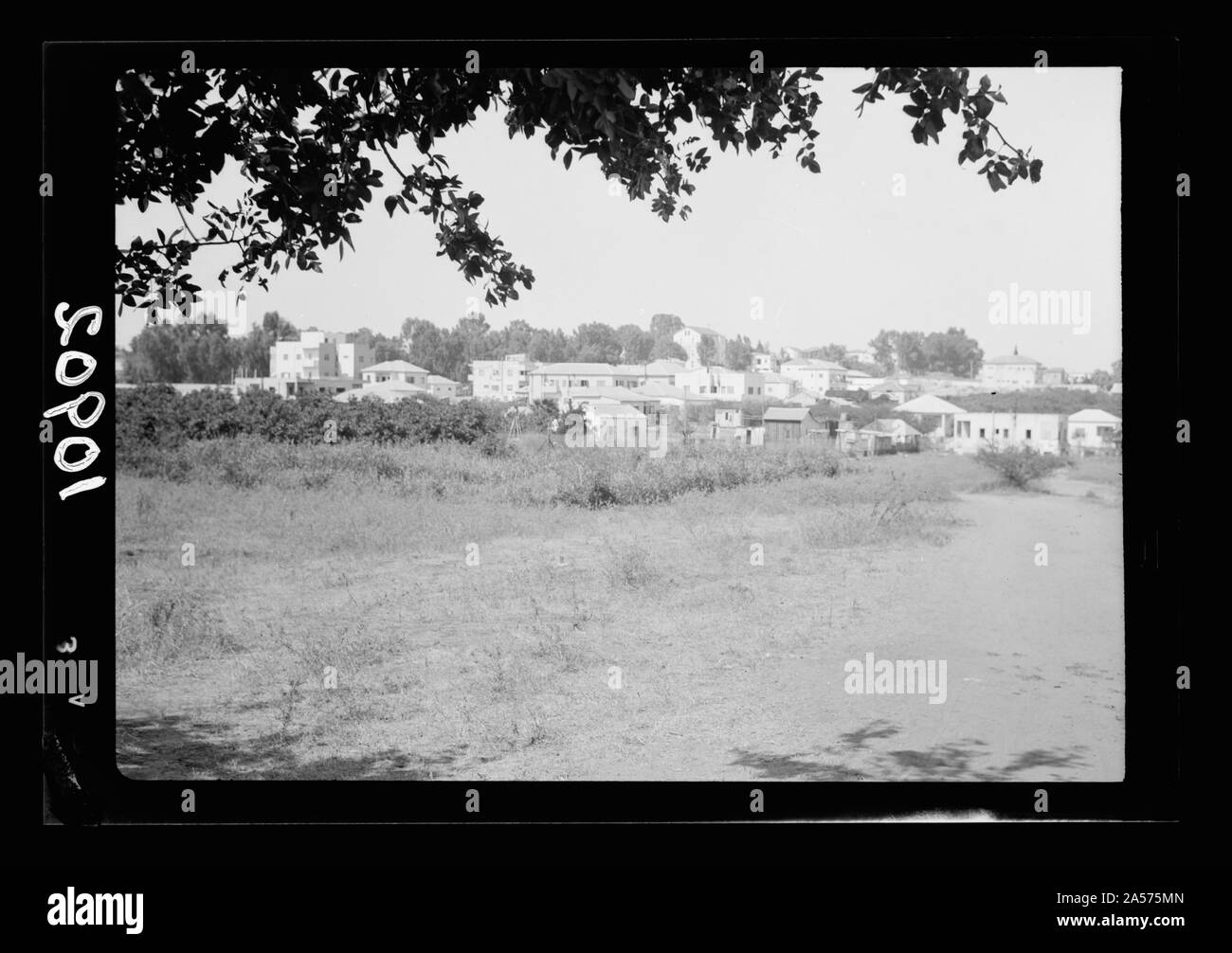 Activités Vintage à Richon-le-Zion, août 1939. Richon-le-sion. Gen[eral]. Vue à distance, voir de plus près Banque D'Images