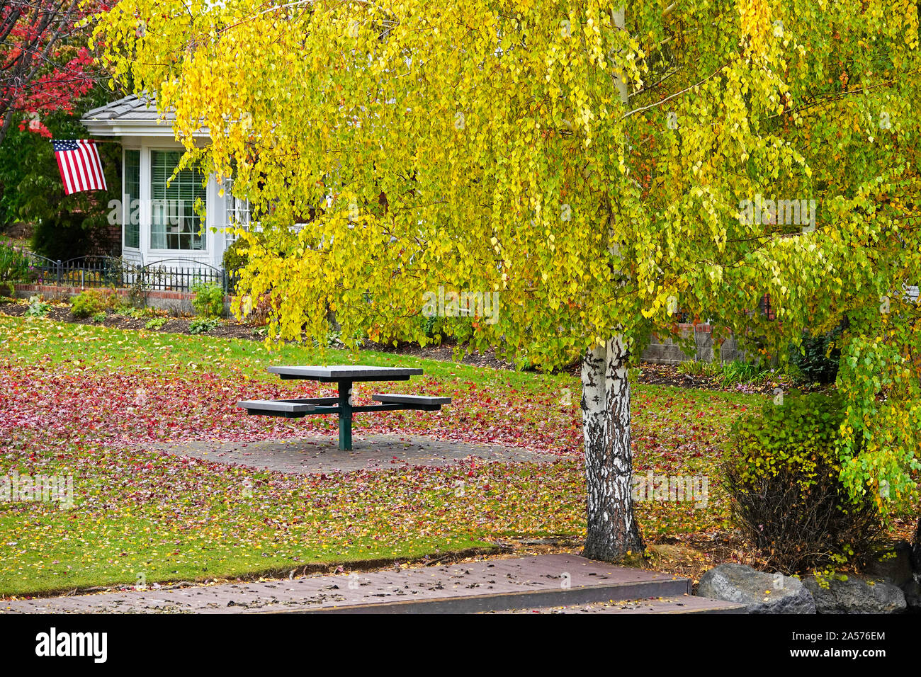 Le saule, le peuplier faux-tremble et peuplier transformer l'or et rouge le long de la rivière Deschutes dans le centre-ville de Bend, Oregon, à l'automne lors de la mi-octobre. Banque D'Images
