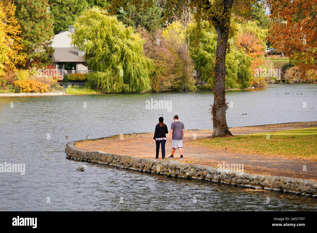 Le saule, le peuplier faux-tremble et peuplier transformer l'or et rouge le long de la rivière Deschutes dans le centre-ville de Bend, Oregon, à l'automne lors de la mi-octobre. Banque D'Images