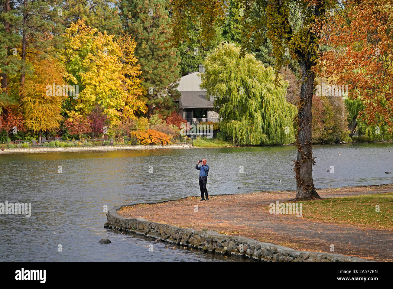 Le saule, le peuplier faux-tremble et peuplier transformer l'or et rouge le long de la rivière Deschutes dans le centre-ville de Bend, Oregon, à l'automne lors de la mi-octobre. Banque D'Images