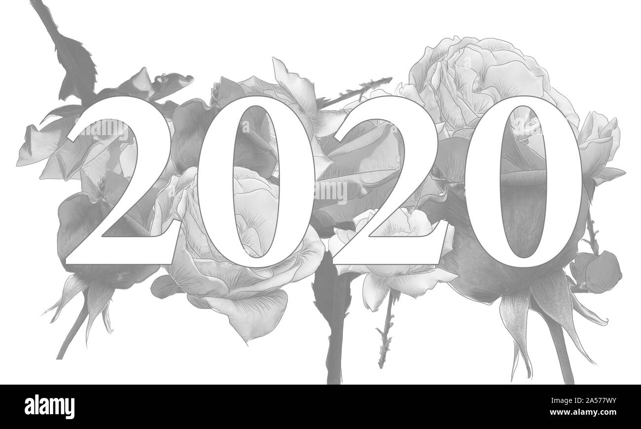 Illustration de l'année 2020  roses monocrome  jziprian par l'arrière-plan Banque D'Images