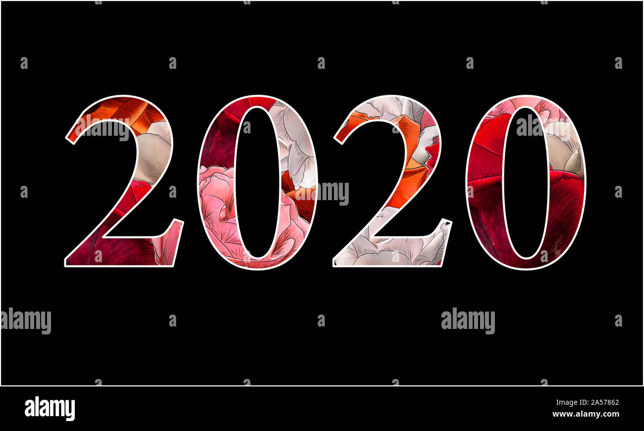 Illustration   roses année 2020 couleur intérieur  par jziprian sur fond noir Banque D'Images