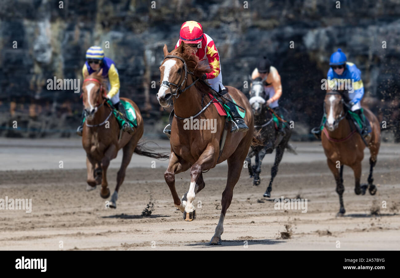 Close up sur le plomb course de chevaux galopant vers la ligne d'arrivée, cheval de course, action sur la plage Banque D'Images