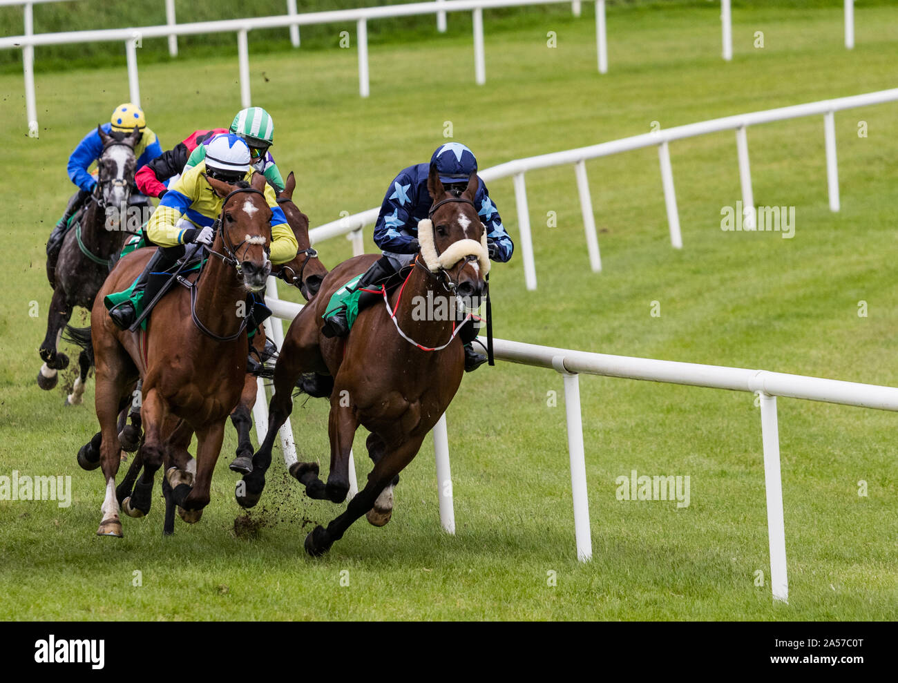Le galop des chevaux de course Banque D'Images