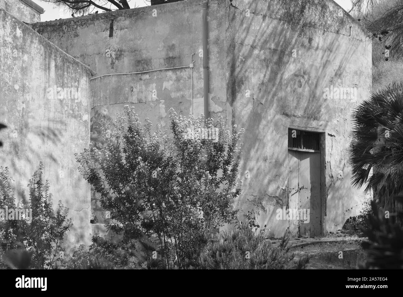 Des scènes de Tarrantola Hôtel agricole dans un vignoble dans le centre de la Sicile Banque D'Images
